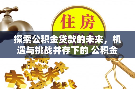 前锋探索公积金贷款的未来，机遇与挑战并存下的 公积金贷款风险防控