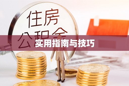 前锋实用指南与技巧