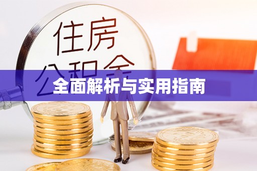 前锋全面解析与实用指南