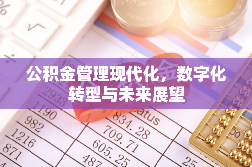 前锋公积金管理现代化，数字化转型与未来展望