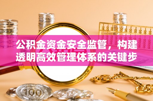 前锋公积金资金安全监管，构建透明高效管理体系的关键步骤