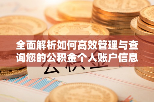 前锋全面解析如何高效管理与查询您的公积金个人账户信息