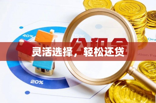 前锋灵活选择，轻松还贷