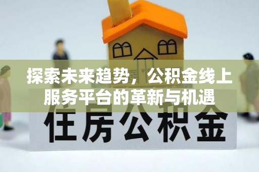 前锋探索未来趋势，公积金线上服务平台的革新与机遇