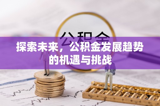 前锋探索未来，公积金发展趋势的机遇与挑战