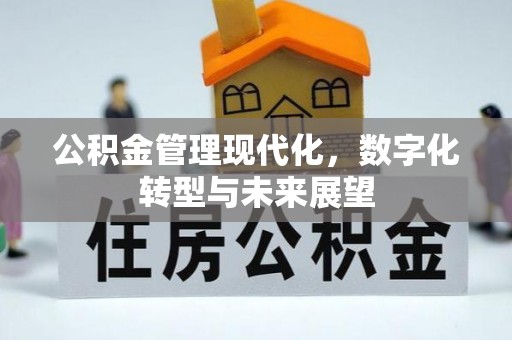 前锋公积金管理现代化，数字化转型与未来展望