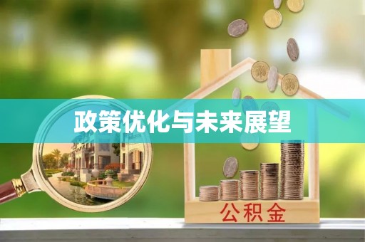 前锋政策优化与未来展望