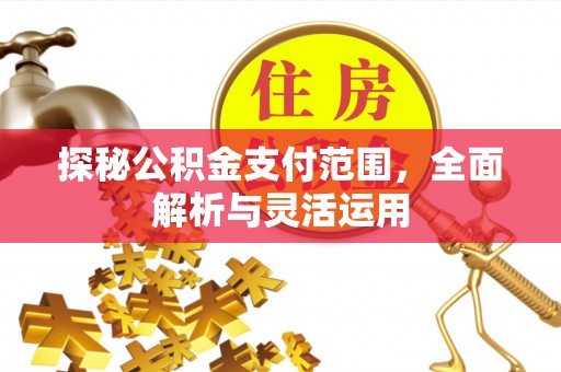 前锋探秘公积金支付范围，全面解析与灵活运用