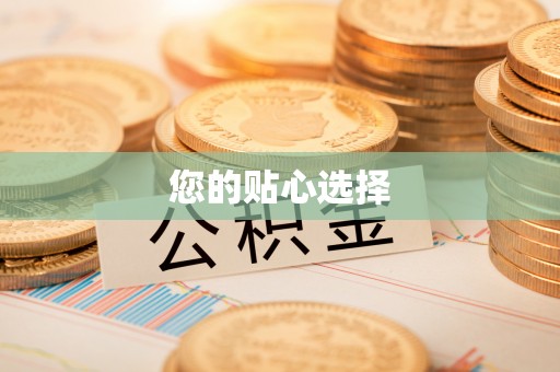 前锋您的贴心选择