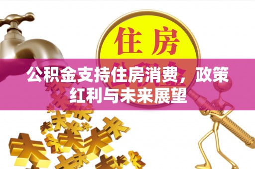前锋公积金支持住房消费，政策红利与未来展望