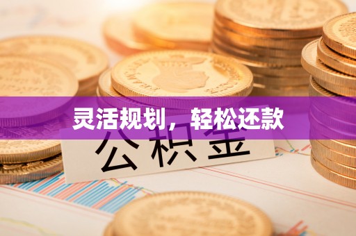 前锋灵活规划，轻松还款