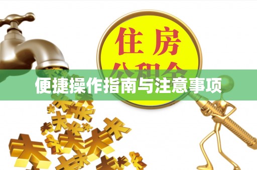 前锋便捷操作指南与注意事项