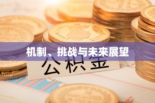 前锋机制、挑战与未来展望